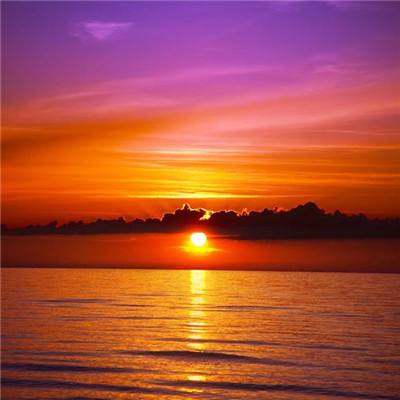 华体会登录手机版app下载