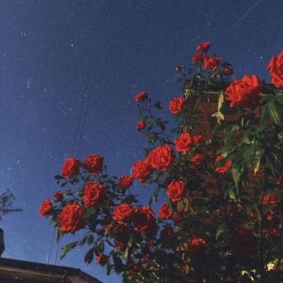 pg麻将胡了下载