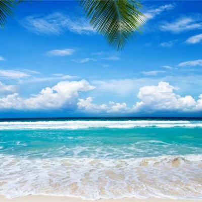 星空官方网站下载app截图