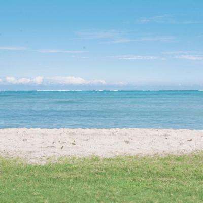 乐鱼app登录入口下载手机版