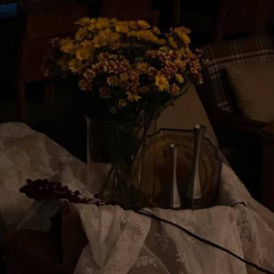 星空官方网站下载app